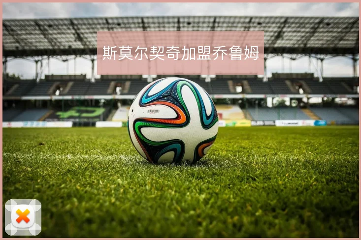 斯莫尔契奇加盟乔鲁姆